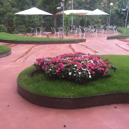 Hotel Penagrande Cangas De Narcea